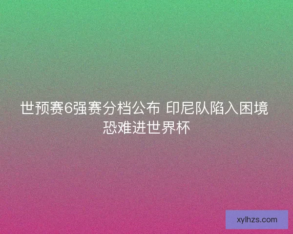 世预赛6强赛分档公布 印尼队陷入困境 恐难进世界杯 世预赛6强赛分档公布 印尼队陷入困境 恐难进世界杯