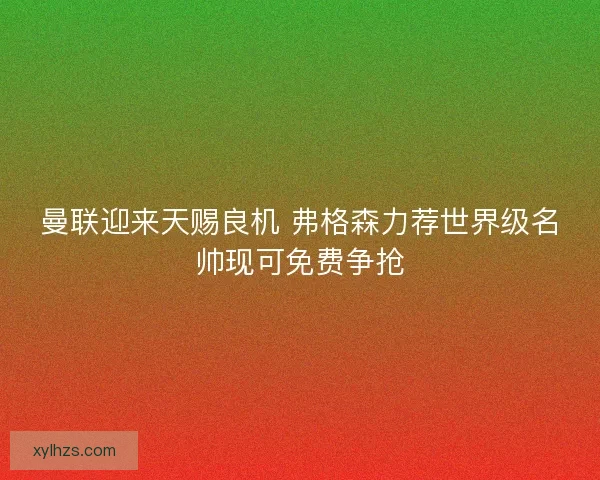 曼联迎来天赐良机 弗格森力荐世界级名帅现可免费争抢 曼联迎来天赐良机 弗格森力荐世界级名帅现可免费争抢